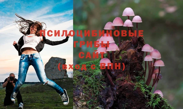 mdpv Алексеевка