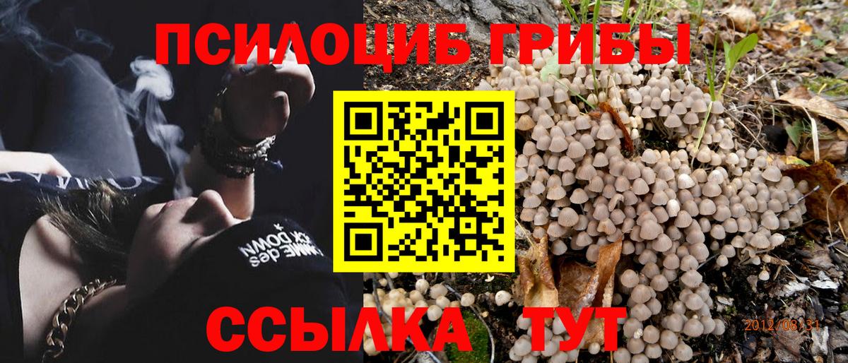 Родники  Галлюциногенные грибы GOLDEN TEACHER  Псилоцибиновые грибы Psilocybe  Вход с VPN 