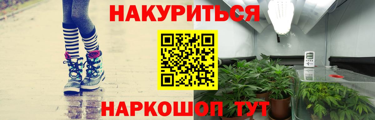 Конопля индика  Бошки марихуана SATIVA & INDICA  Бошки Шишки Bruce Banner  Родники  Вход с VPN 